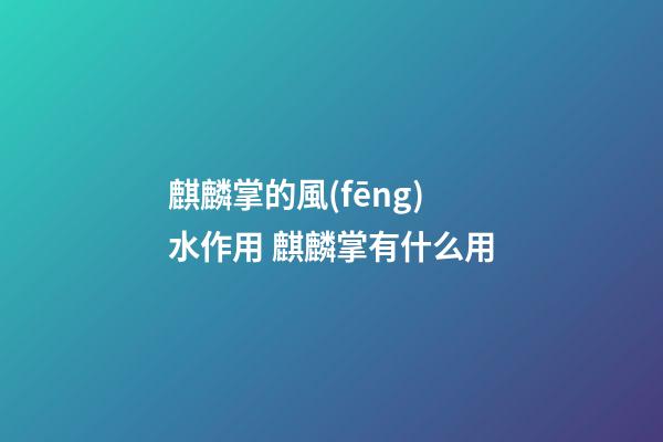 麒麟掌的風(fēng)水作用 麒麟掌有什么用